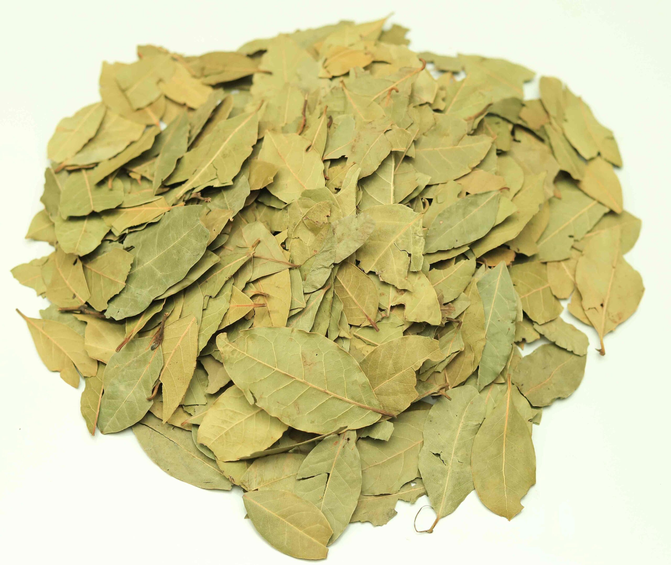 Bay Leaf
