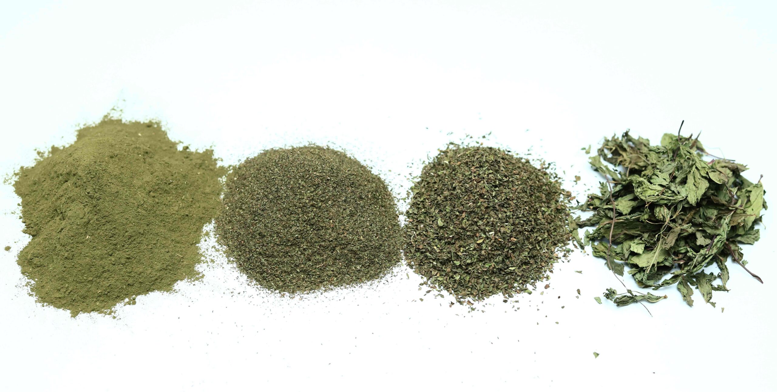 Spearmint - Image 8