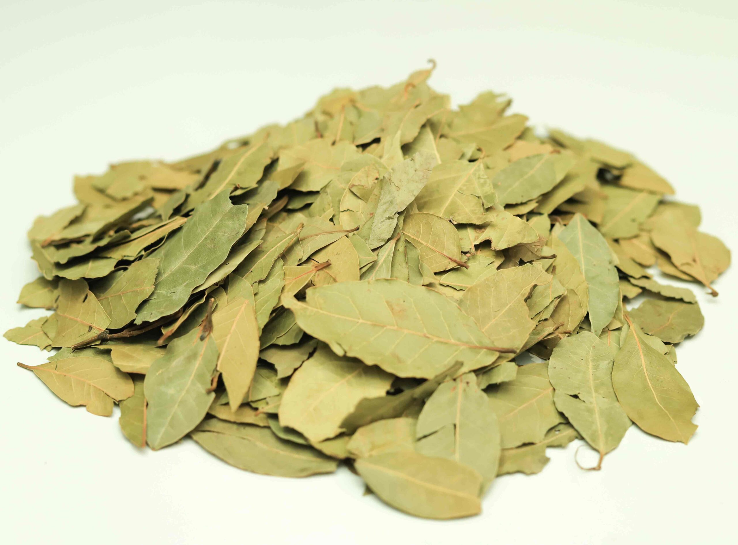 Bay Leaf - Image 5
