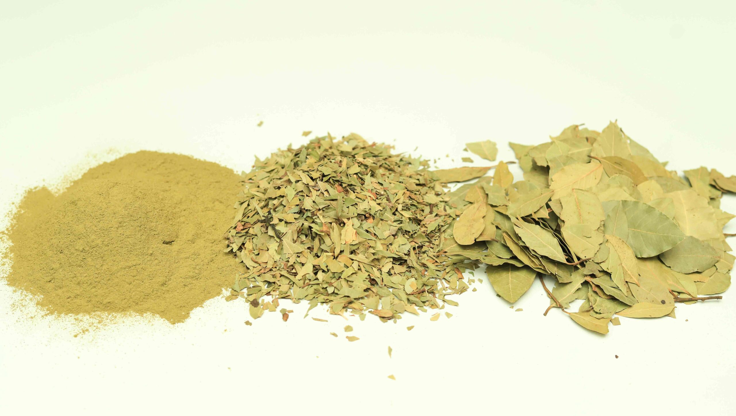 Bay Leaf - Image 4