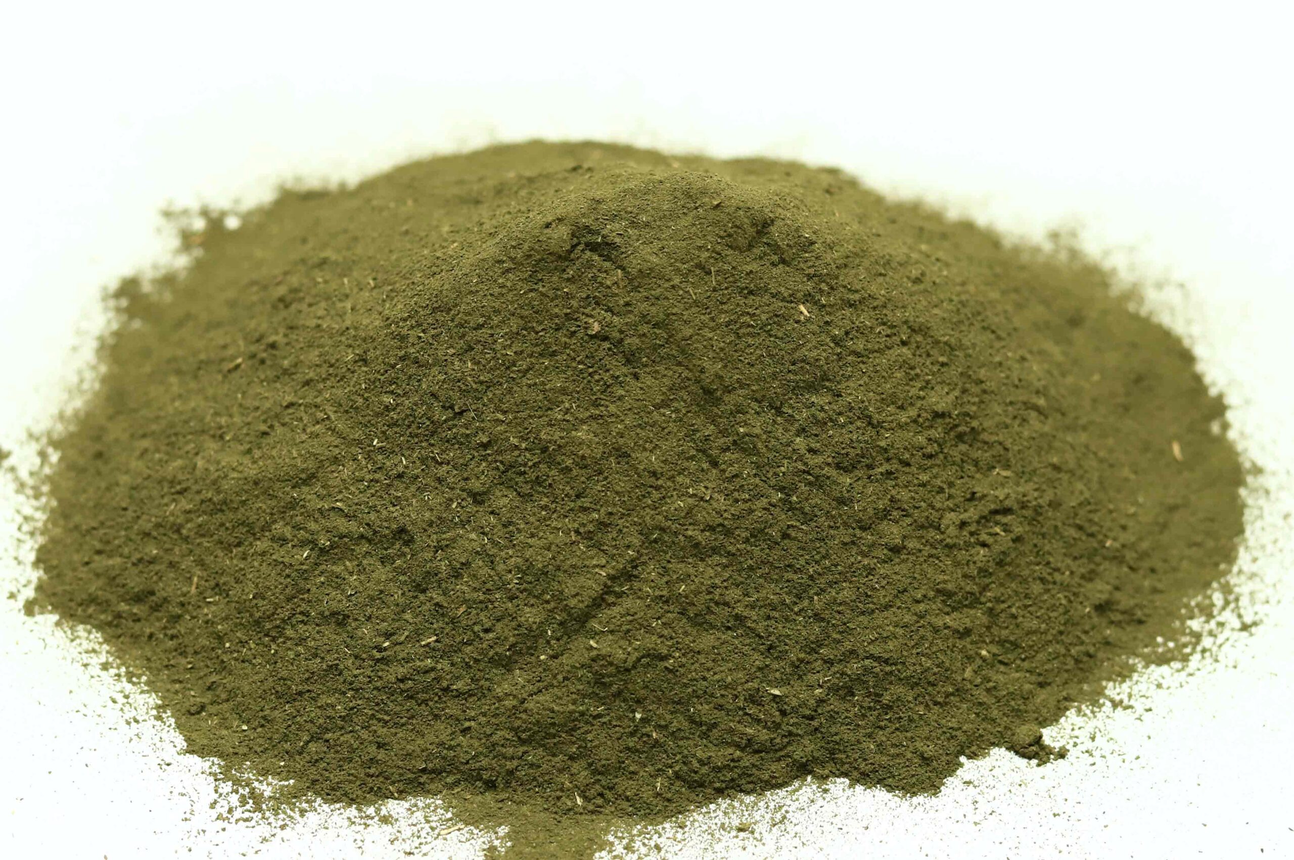 Spearmint - Image 4