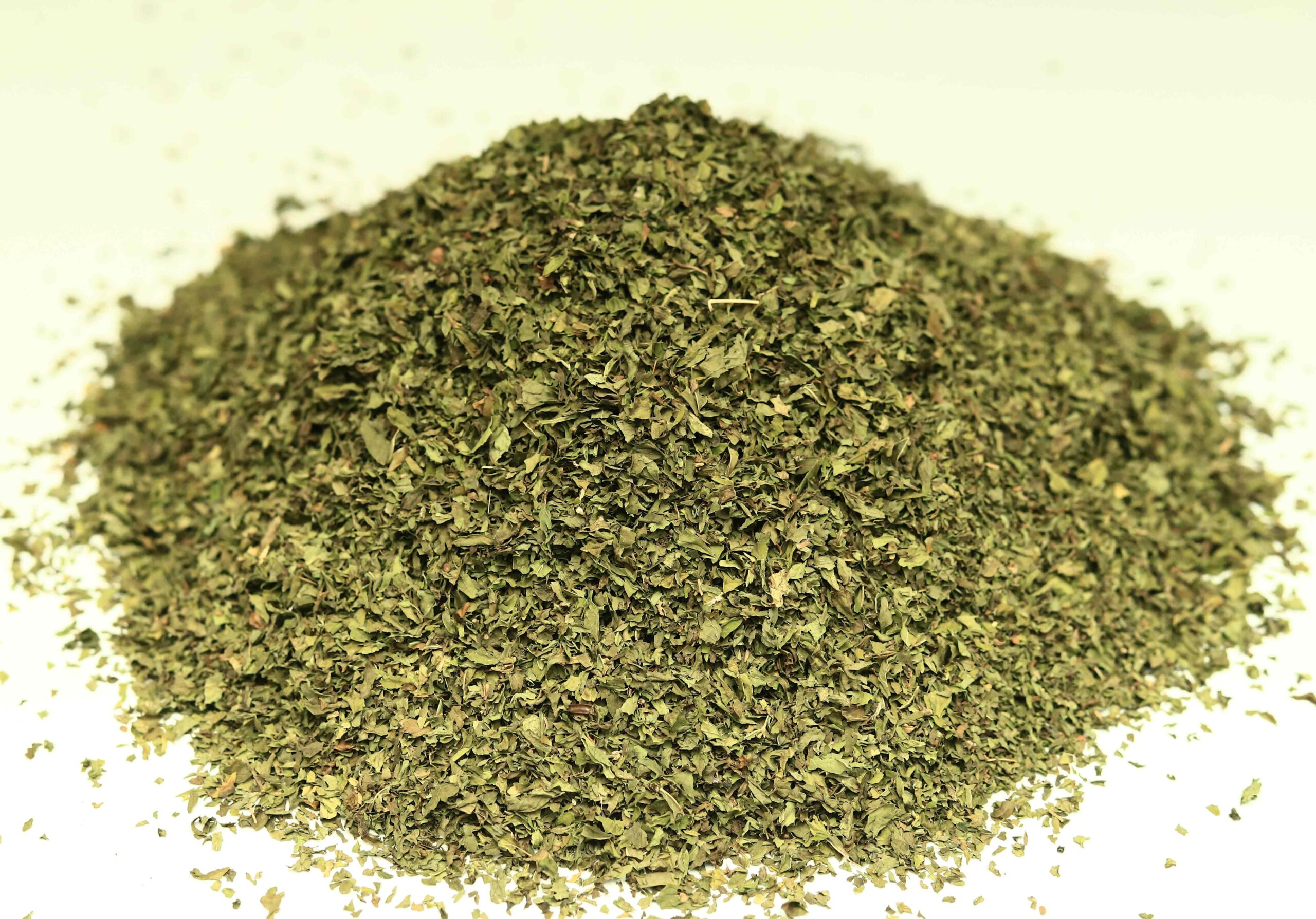 Spearmint - Image 6