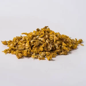 Verbscum (Great Mullein)