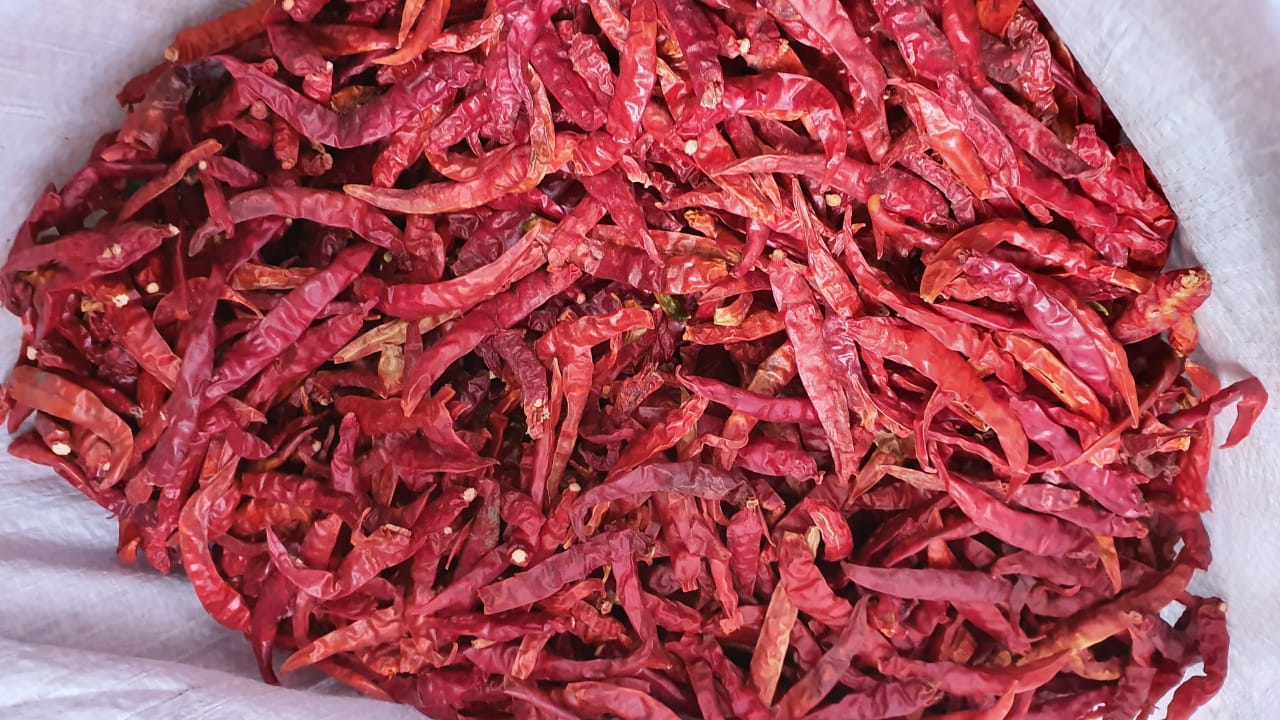 Chili - Image 2