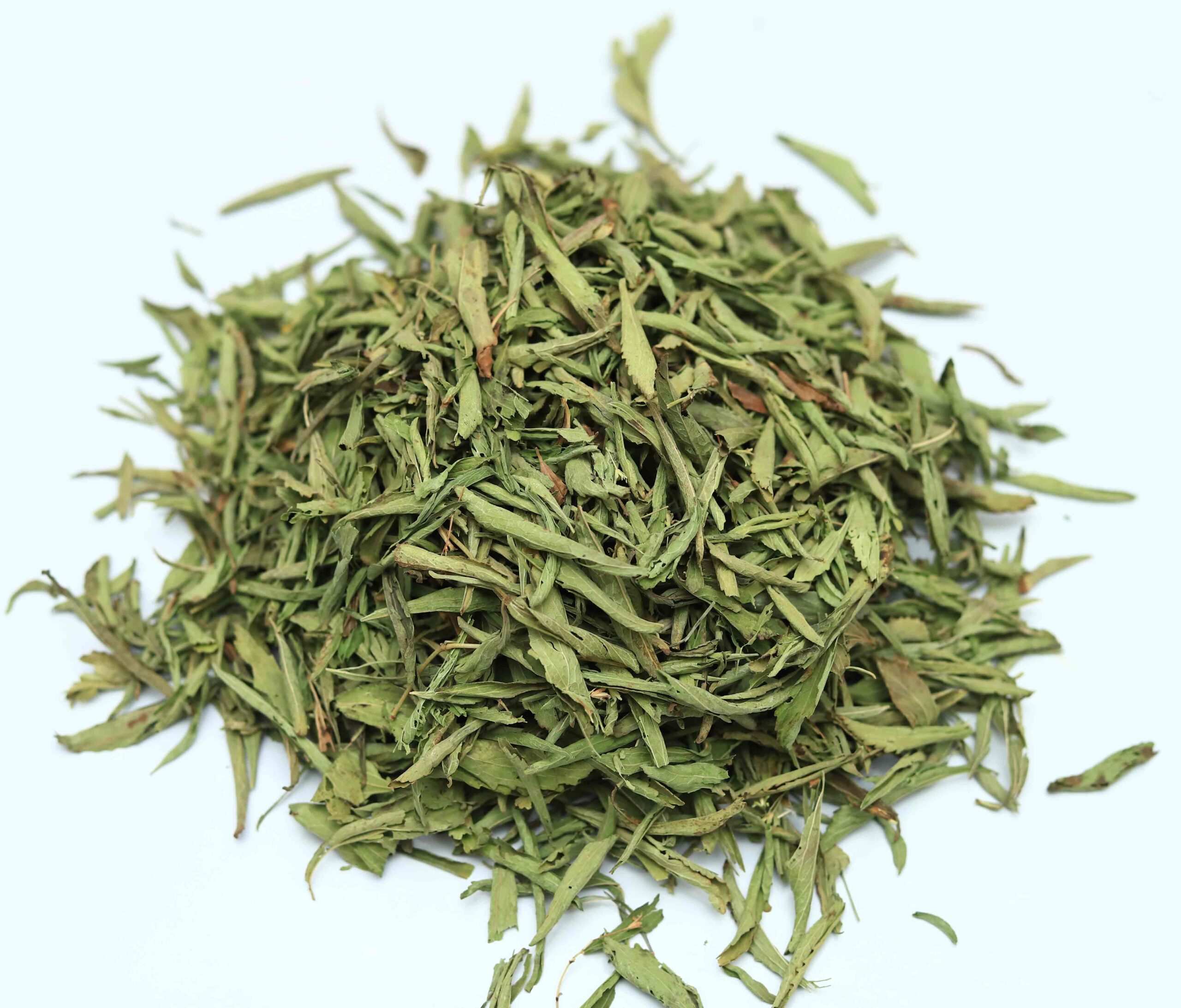 Stevia
