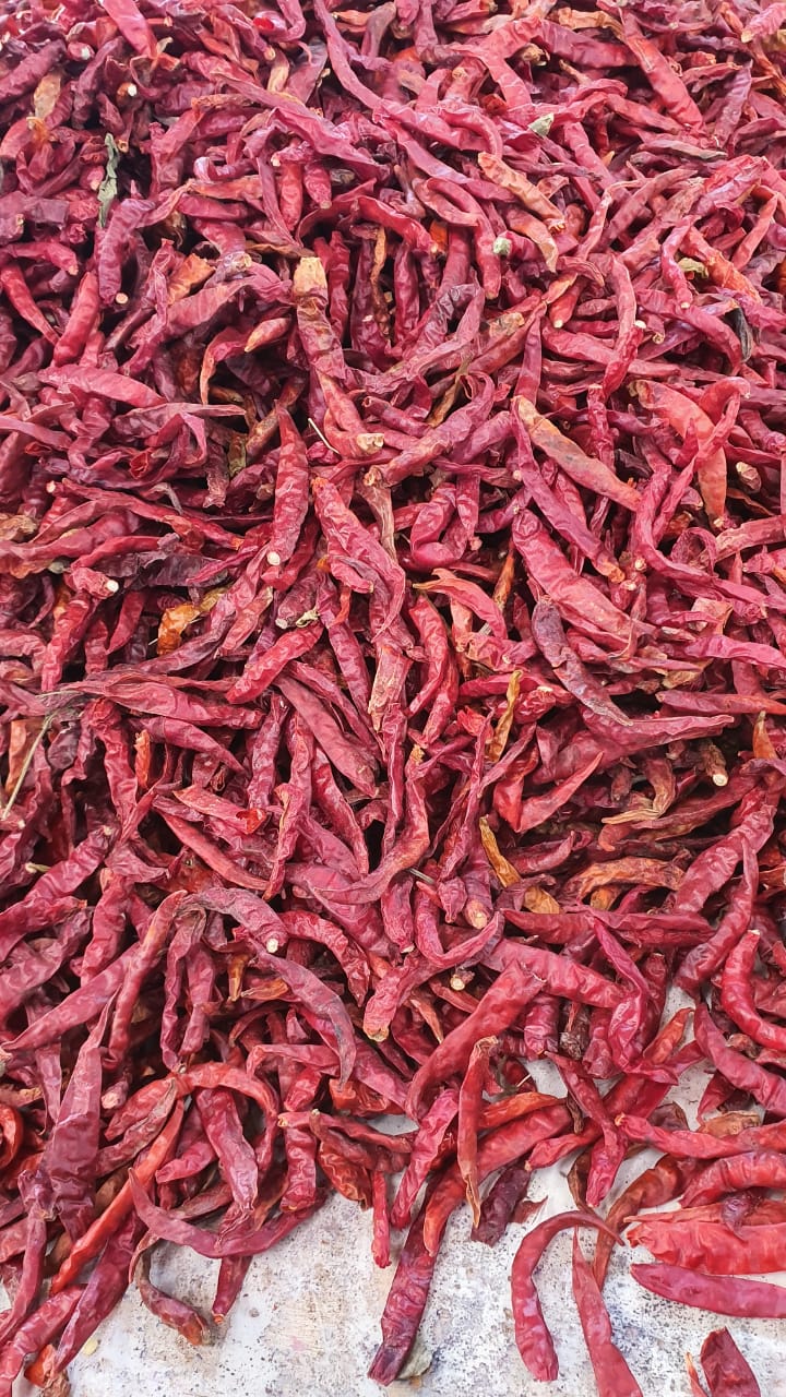 Chili - Image 3