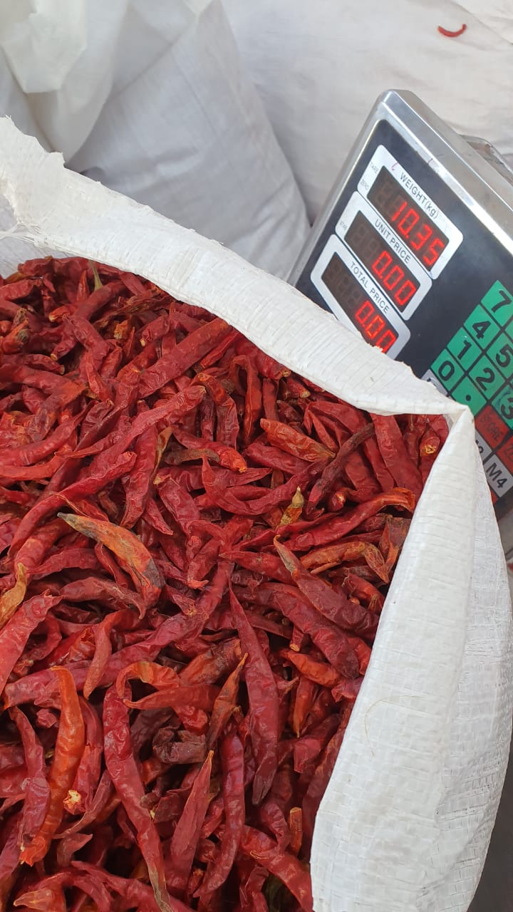 Chili - Image 4