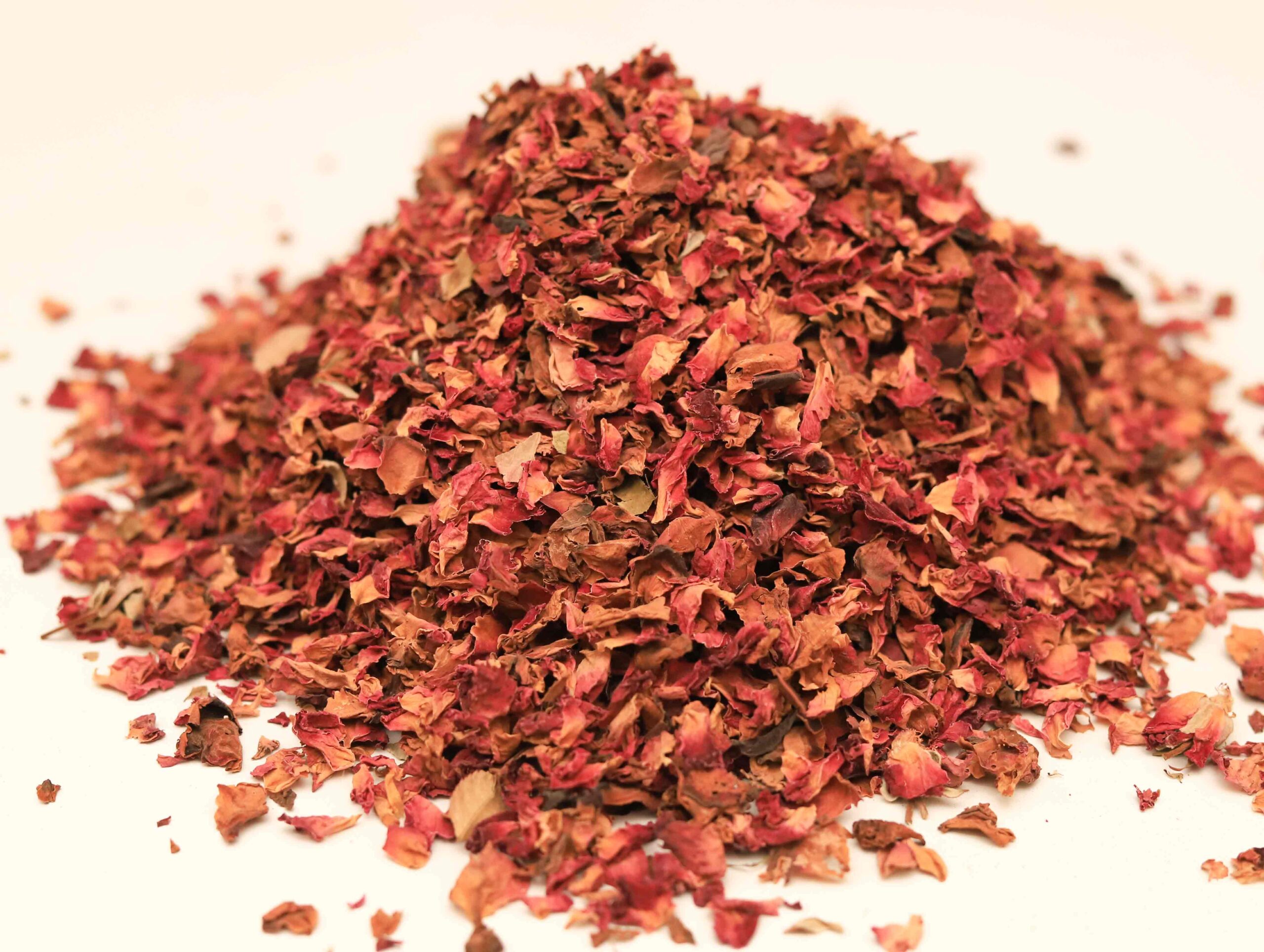 Rose Patel - Image 2