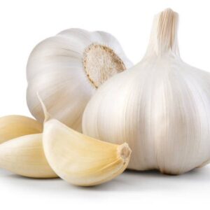 Garlic