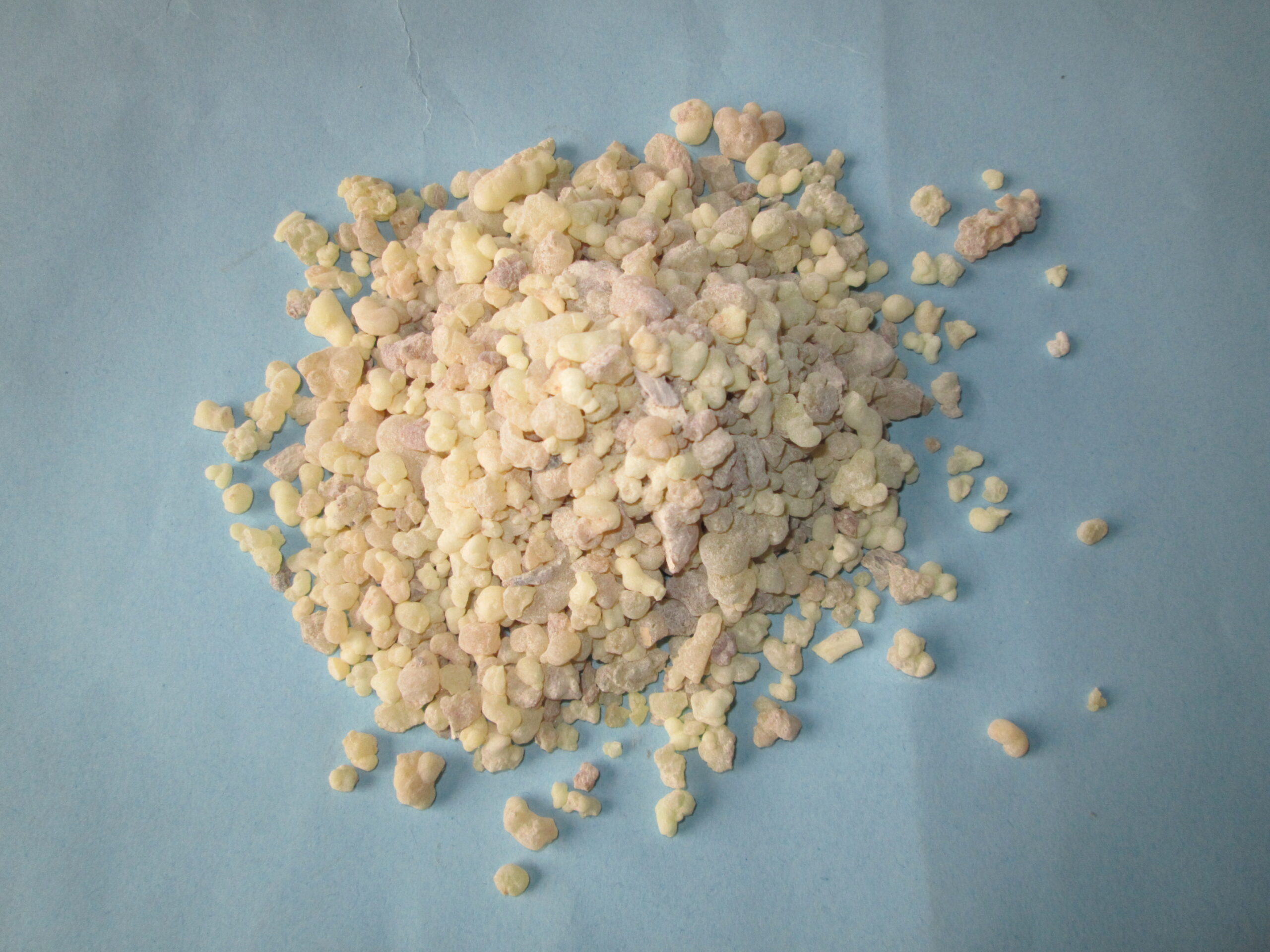 Frankincense / Olibanum Gum - Image 4